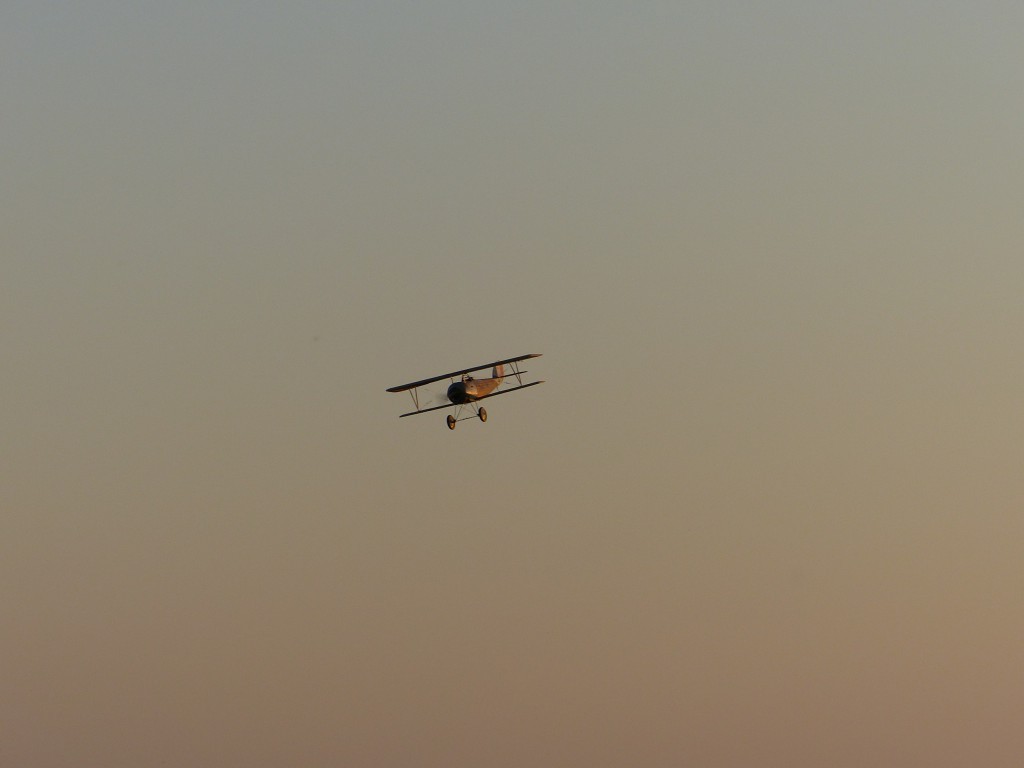 Fin d'après midi  la lumière tombe doucement