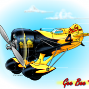 Gee Bee Z
