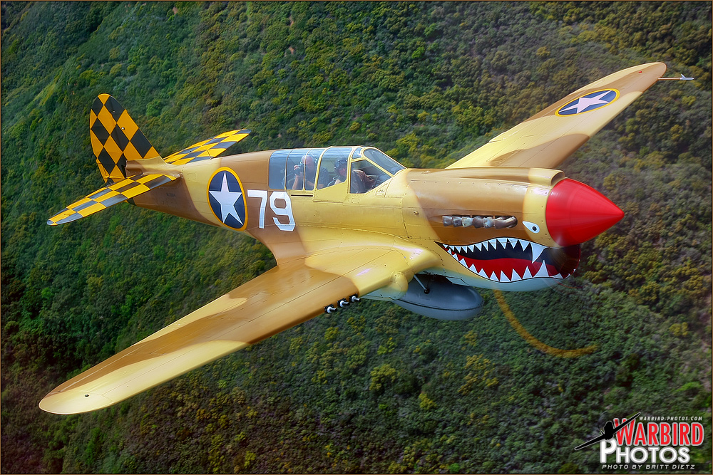 P-40N - Warhawk