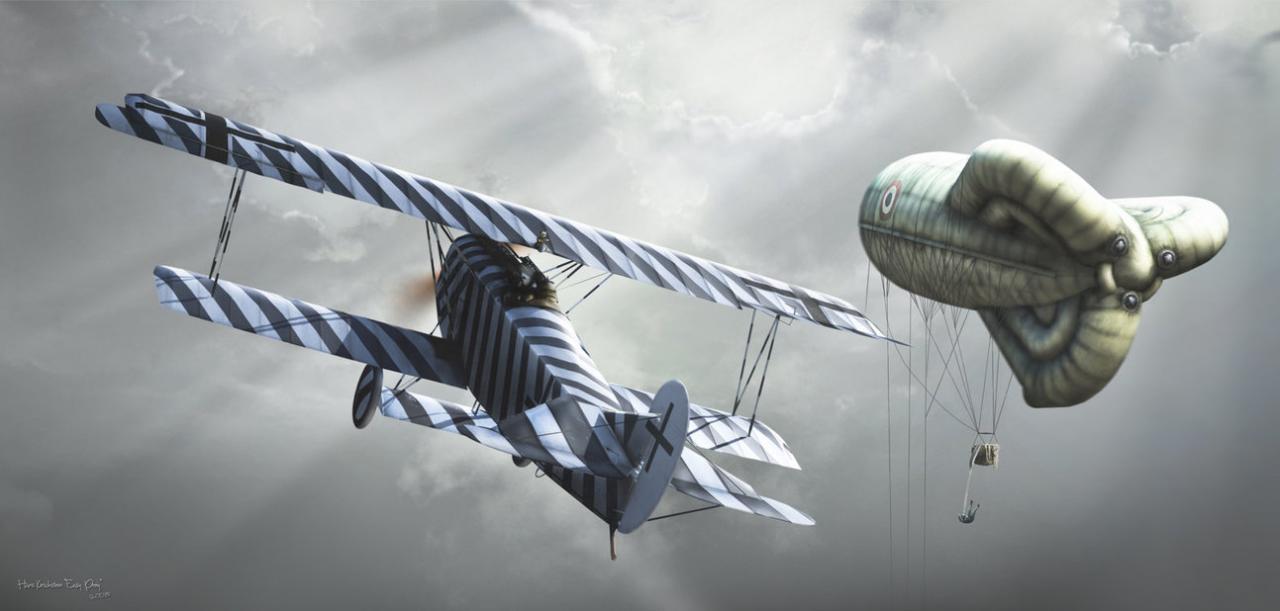 Fokker DVII in the sky