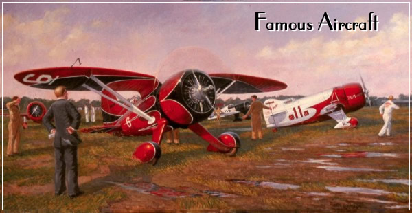 Bull Dog Racers / R1