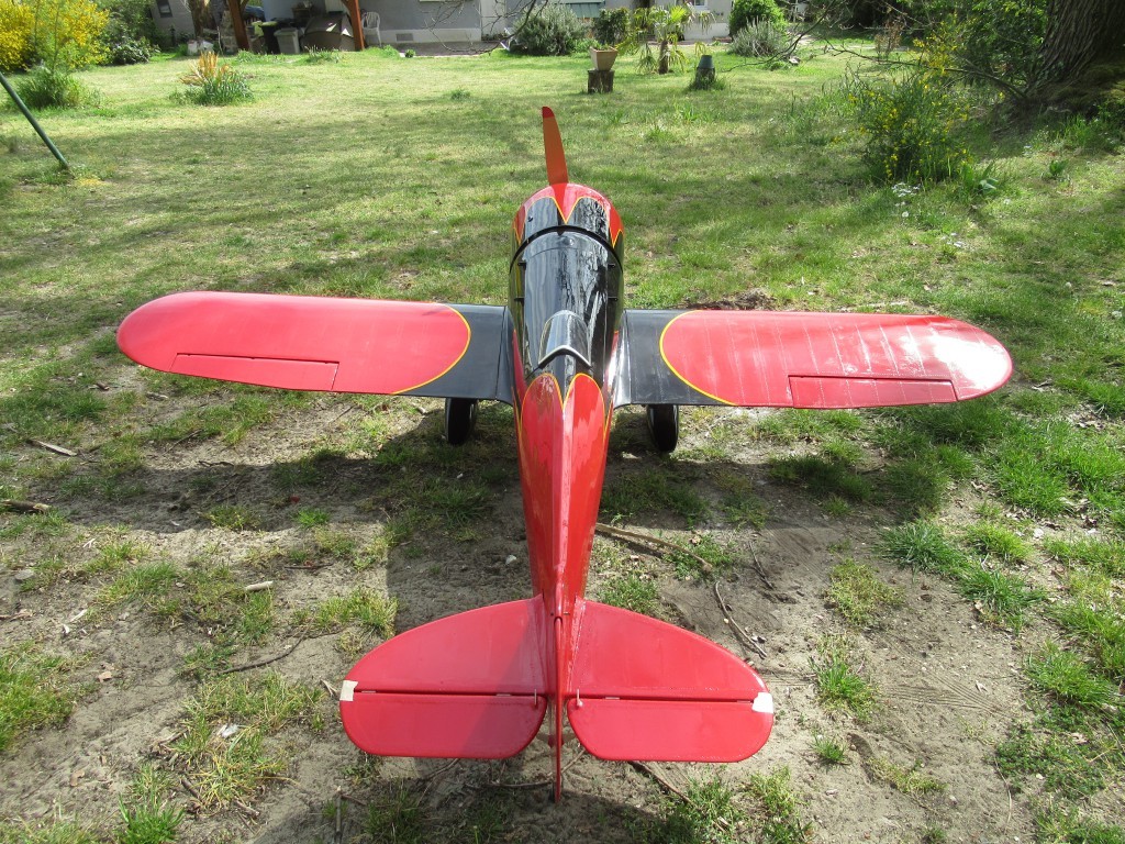 séance photos de l'oiseau