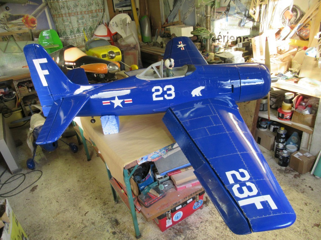 Bel oiseau ce Bearcat 