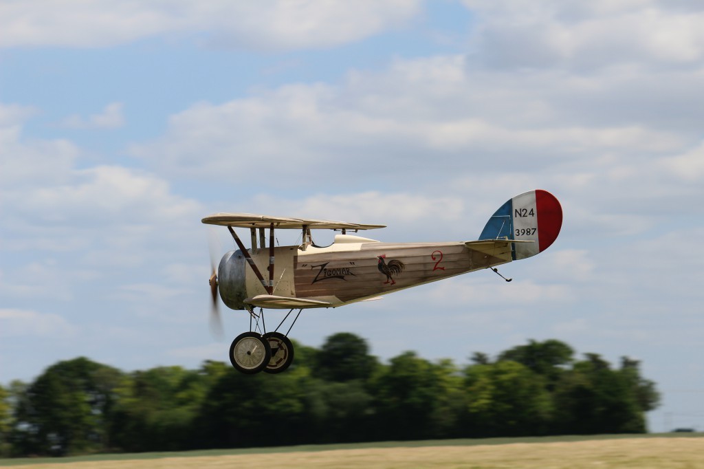 l'oiseau est  vraiment superbe  en vol