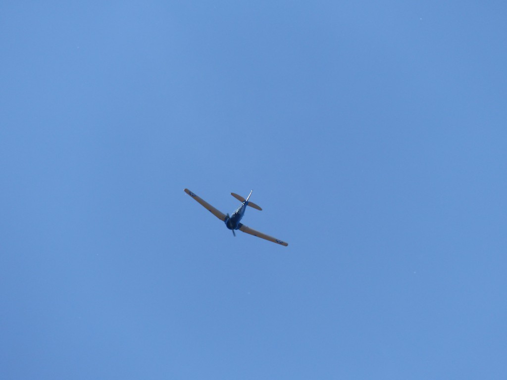 Prise de badin  pour les minutes voltige