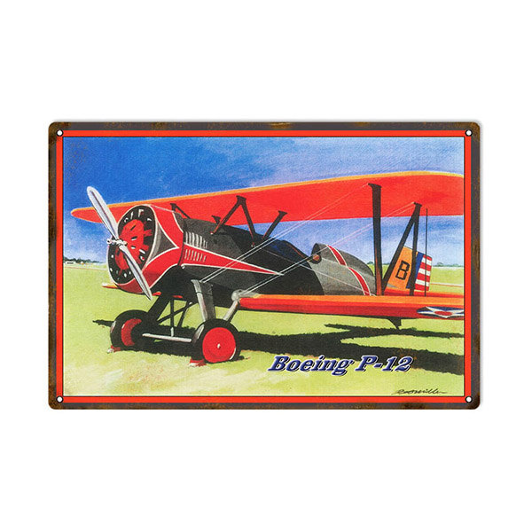 Boeing P12