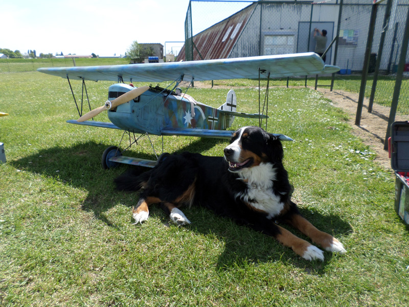 Terrain de Vimory  - 7/05/2016 - 14ème vol du FOKKER