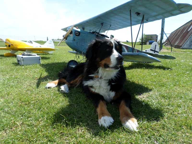 Whitney à l'ombre des 2,26 d'envergure du Fokker